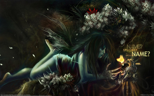 534762 (a): :2560x1600